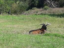 Bungalows Punta Colorada