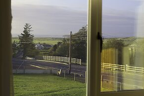 Madra Rua Organic Accommodation