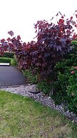 Madra Rua Organic Accommodation