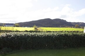 Madra Rua Organic Accommodation