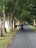 God Island Bed and Breakfast