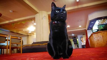 Sports Hotel SILVER SHIGA