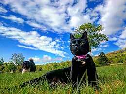 Sports Hotel SILVER SHIGA