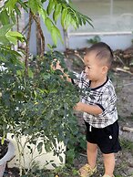 Thuy Nga Hotel Phu Quoc