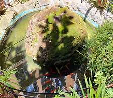 Sweet Dream Roma Termini