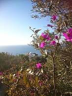 Stunning House - Sleeps 11, Terrace & Sea View