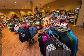 Camelback Lodge & Aquatopia Indoor Waterpark