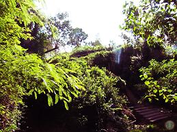 Scenic View Hotel & Resort