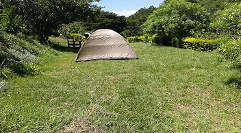 Scenic View Hotel & Resort