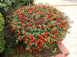 Scenic View Hotel & Resort