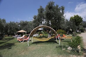 Antique Beach and Bungalow
