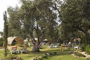 Antique Beach and Bungalow