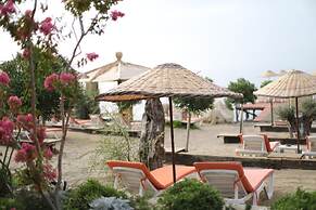 Antique Beach and Bungalow