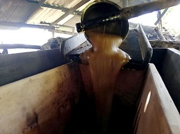 Cabañas Las Orquideas