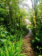 Cabañas Las Orquideas