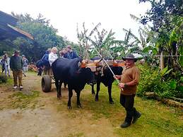 Cabañas Las Orquideas