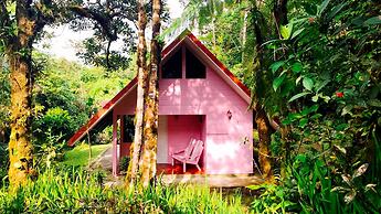 Cabañas Las Orquideas