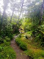 Cabañas Las Orquideas