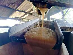 Cabañas Las Orquideas