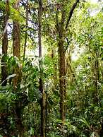 Cabañas Las Orquideas