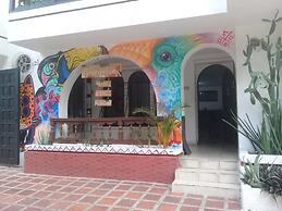 Casa Tropicalia - Hostel