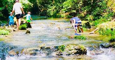 Vanguard Backpackers - Hostel