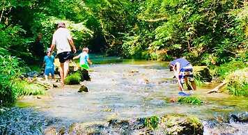 Vanguard Backpackers - Hostel