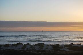 Dolphin Beachfront Condo
