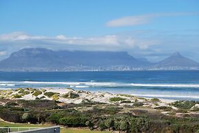 Dolphin Beachfront Condo