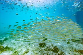 Victoria Cliff Nyaung Oo Phee Island