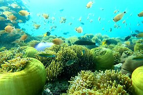 Victoria Cliff Nyaung Oo Phee Island