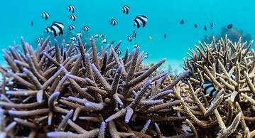 Victoria Cliff Nyaung Oo Phee Island