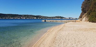 Olivia Green Camping