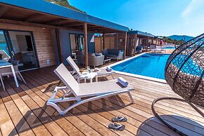 Olivia Green Camping