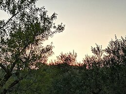 B&B Villa Milena