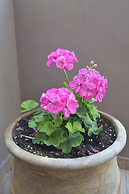 Katerina Apartments 1