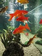 Costa de Prata Hotel & Spa