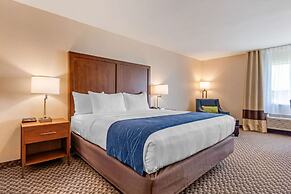 Comfort Inn & Suites near Route 66