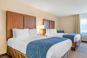 Comfort Inn & Suites near Route 66