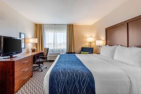 Comfort Inn & Suites near Route 66