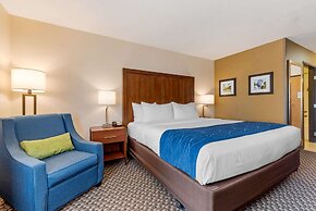 Comfort Inn & Suites near Route 66