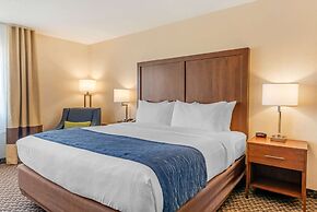 Comfort Inn & Suites near Route 66