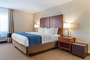 Comfort Inn & Suites near Route 66
