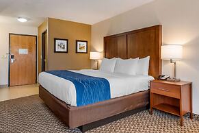 Comfort Inn & Suites near Route 66