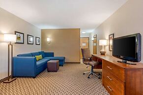 Comfort Inn & Suites near Route 66
