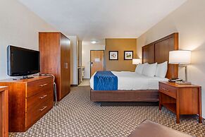 Comfort Inn & Suites near Route 66