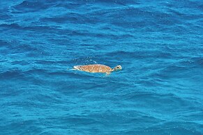 Canouan Estate Resort & Villas