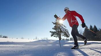 Fewo Harz mit WLAN für 2-4 Personen