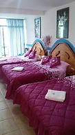 Hotel Mixti