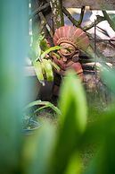 The Sea Garden House